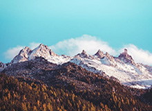 星空体育下载-BBC曝越南站从2021年F1赛历中删除 中国站4月举行